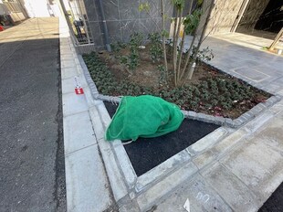 リージア三軒茶屋の物件内観写真